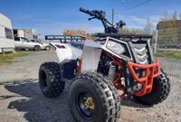 купить Квадроцикл RAPTOR R8 в Смоленске - фото 