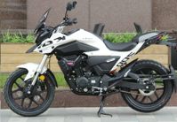 купить Мотоцикл LIFAN KPT200 (LF200-10D) ТУРЭНДУРО в Мичуринске - фото 