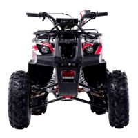 купить Квадроцикл WELS Thunder 125 Basic в Краснодаре - фото 