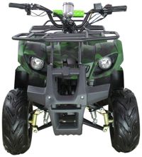 купить Электроквадроцикл AVANTIS ATV Classic 8E (1000W) Сочи - фото 