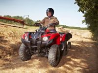 купить Квадроцикл YAMAHA Segway 300 в Севастополе - фото 