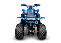 купить Квадроцикл RACER TYPHOON 250 в Липецке - фото 