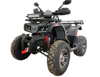 купить Квадроцикл YACOTA Warrior 200 PRO в Энгельсе - фото 