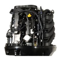 купить 4х-тактный лодочный мотор GOLFSTREAM F115FEL-T EFI L Сочи - фото 