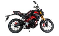 купить Мотоцикл MOTOLAND 501 (172FMM-5/PR250) ТУРЭНДУРО в Перми - фото 