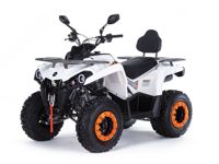 купить Квадроцикл MOTAX ATV Grizlik 200 Ultra в Дзержинске - фото 