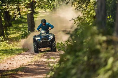 купить Квадроцикл KAWASAKI Brute Force 450 4x4 (2025) в Избербаше - фото 