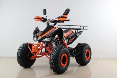 купить Квадроцикл MOTAX ATV T-Rex Super LUX 50 cc в Мичуринске - фото 