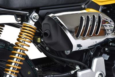 купить Мотоцикл MOTOLAND Monkey 150 PITBIKE в Чебоксарах - фото 