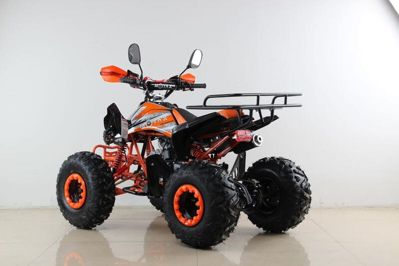 купить Квадроцикл MOTAX ATV T-Rex Super LUX 50 cc в Мичуринске - фото 