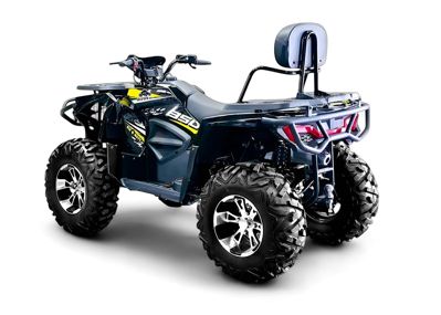 купить Квадроцикл BIZON ZX350 в Астане - фото 
