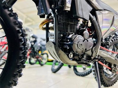 купить Мотоцикл BRZ MX8 PR300 23 ENDURO в Минске и Беларуси - фото 