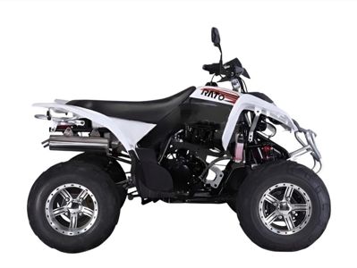 купить Квадроцикл RATO RТ250SТ-2 в Красноярске - фото 