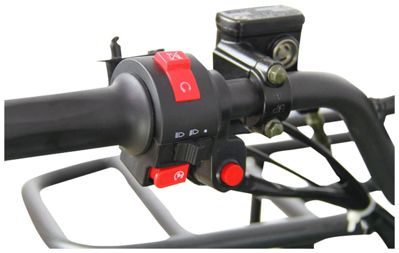 купить Электроквадроцикл AVANTIS ATV Classic 8E (1000W) Сочи - фото 