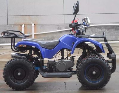купить Квадроцикл RAPTOR MAX PRO 49cc (2022) в Красноярске - фото 