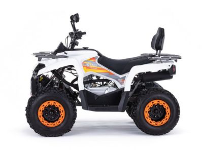 купить Квадроцикл MOTAX ATV Grizlik 200 Ultra в Дзержинске - фото 