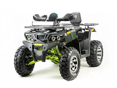 купить Квадроцикл MOTOLAND 200 Wild Track Pro в Мичуринске - фото 