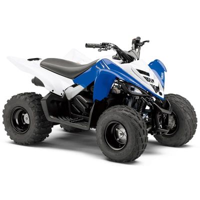 купить Квадроцикл YAMAHA YFM90R (Raptor 90) в Белгороде - фото 