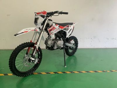 купить Мотоцикл JHL Z125E PITBIKE в Москве - фото 