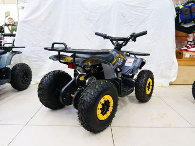 купить Электроквадроцикл MOTAX Grizlik X16 New E1000 Big Wheel Сочи - фото 
