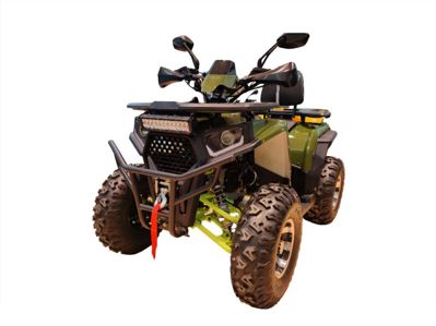 купить Квадроцикл FXMOTO Wasp 200 в Минске и Беларуси - фото 