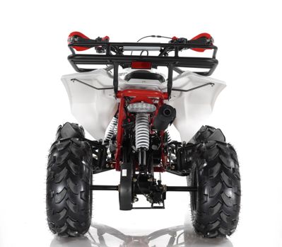 купить Квадроцикл MOTAX ATV Raptor Super LUX 125 cc в Бахчисарае - фото 