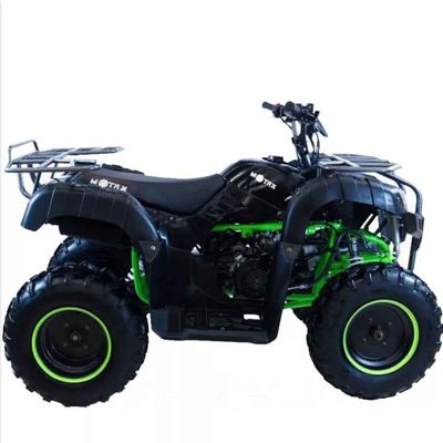 купить Квадроцикл MOTAX ATV Grizlik 200 LUX в Омске - фото 