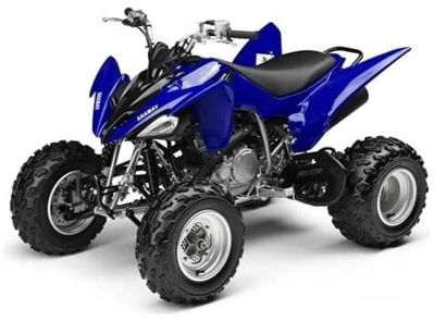 Квадроцикл YAMAHA YFM250R - replica в Мичуринске