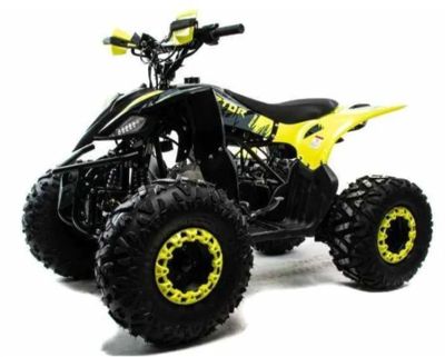 Квадроцикл MOTOLAND ATV RAPTOR A 125 в Нефтекамске
