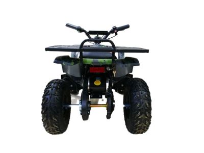 купить Электроквадроцикл MOTAX Grizlik X16 New E1000 Big Wheel Сочи - фото 