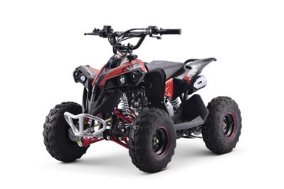 Квадроцикл YACOTA RENEGADE MINI Сочи