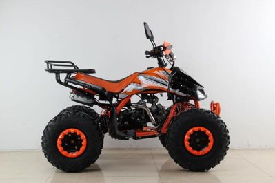 купить Квадроцикл MOTAX ATV T-Rex Super LUX 50 cc в Мичуринске - фото 