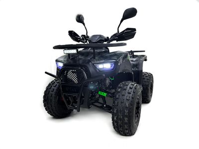 купить Квадроцикл MOTAX ATV Grizlik Super LUX 125cc в Мичуринске - фото 