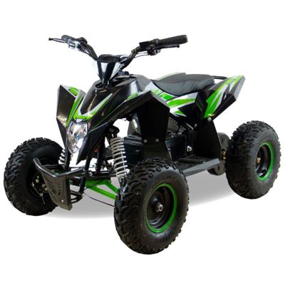 купить Электроквадроцикл MOTAX GEKKON 1300W Сочи - фото 