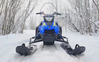 купить Снегоход WOIDEAL WD 300 Сочи - фото 
