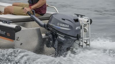 купить 4х-тактный лодочный мотор YAMAHA F25GES во Владивостоке - фото 