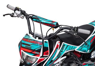 купить Мотоцикл REGULMOTO Seven Medalist 17/14 PITBIKE в Перми - фото 
