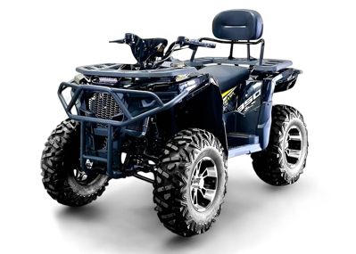 купить Квадроцикл BIZON ZX350 в Астане - фото 