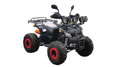 купить Квадроцикл BISON Kids 125 LD в Таганроге - фото 