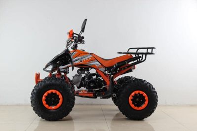 купить Квадроцикл MOTAX ATV T-Rex Super LUX 50 cc в Мичуринске - фото 