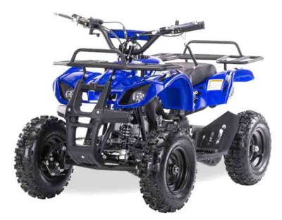 купить Квадроцикл MOTAX ATV Mini Grizlik X-16 в Бахчисарае - фото 