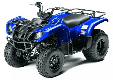 купить Квадроцикл GRIZZLY 125сс детский в Уфе - фото 