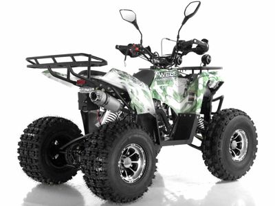 купить Квадроцикл WELS Thunder 125 Lux в Благовещенске - фото 
