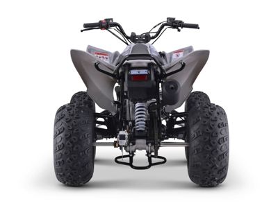 купить Квадроцикл SHARMAX Raizer Race Cup 250 в Мичуринске - фото 