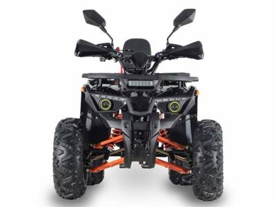 купить Квадроцикл GRIZZLY Aerox 125 в Уфе - фото 