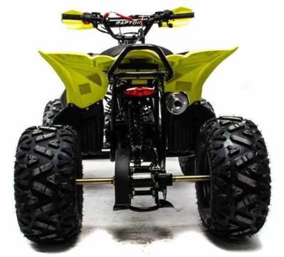 купить Квадроцикл MOTOLAND 125 RAPTOR в Дербенте - фото 