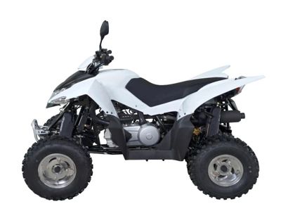 купить Квадроцикл SYM QuadRaider 300 SS в Серпухове - фото 