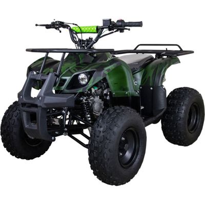 купить Электроквадроцикл AVANTIS ATV Classic 8E (1000W) Сочи - фото 