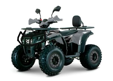 купить Квадроцикл YACOTA DRAGON 125 LUX в Новосибирске - фото 