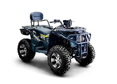 купить Квадроцикл BIZON ZX350 в Астане - фото 